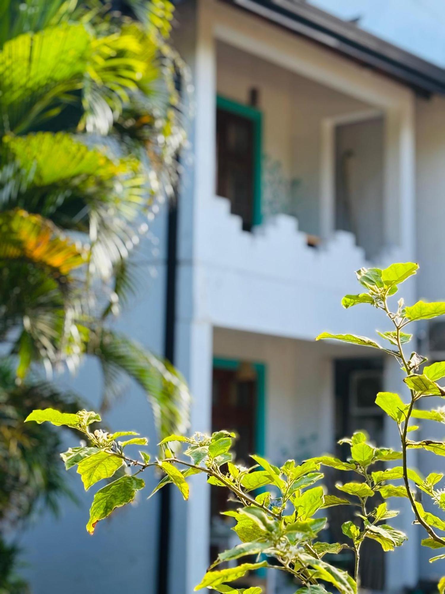 Balance Beach Resort Dikwella Exterior foto
